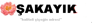 Esenyurt Cicekci